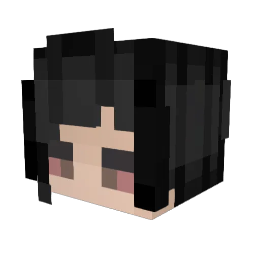 Given__ Minecraft avatar head, 3D render