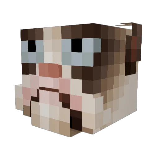 Gizmo26 Minecraft avatar head, 3D render