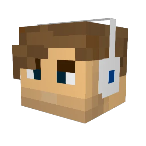 Gizmo9904 Minecraft avatar head, 3D render