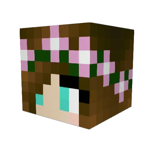 Gizzmo299 Minecraft avatar head, 3D render
