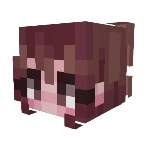 Gkid8 Minecraft avatar head, 3D render