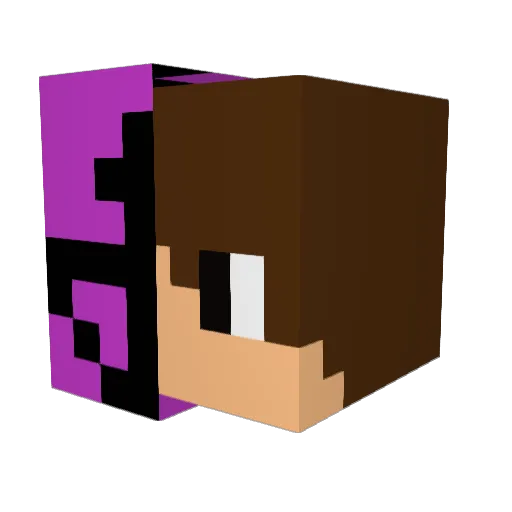 Gl1tch422 Minecraft avatar head, 3D render