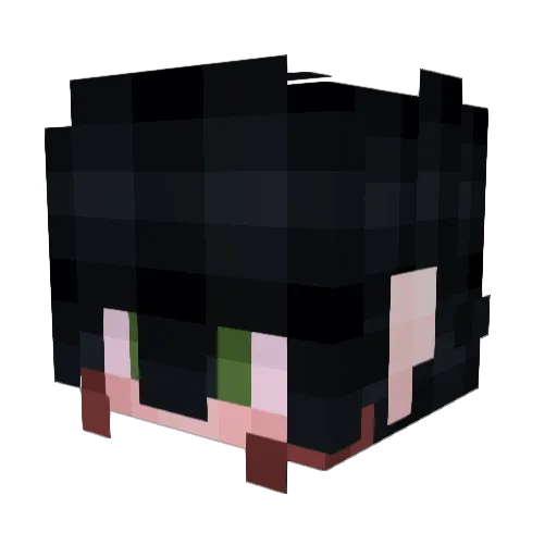 Glacera115 Minecraft avatar head, 3D render