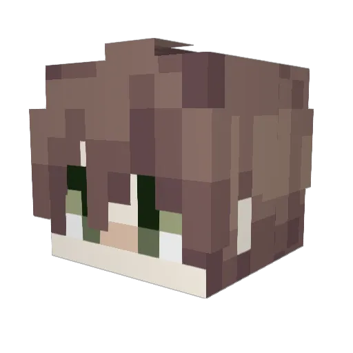 Glacial520 Minecraft avatar head, 3D render
