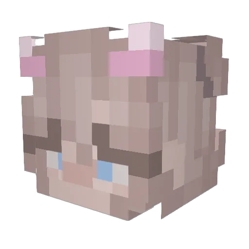 Gladiation Minecraft avatar head, 3D render