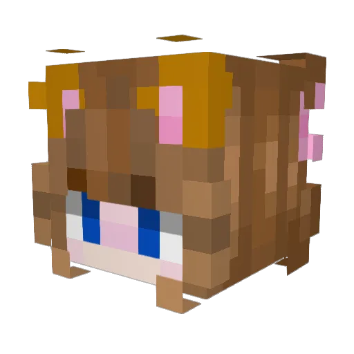 GlassCam Minecraft avatar head, 3D render