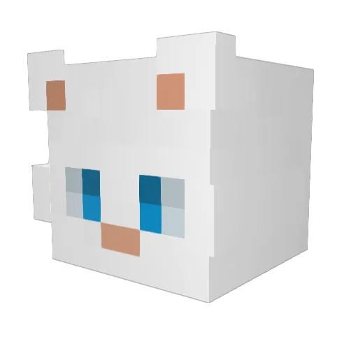 Glasses_Cat_ Minecraft avatar head, 3D render