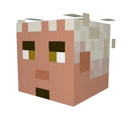 Glassless_Window Minecraft avatar head, 3D render