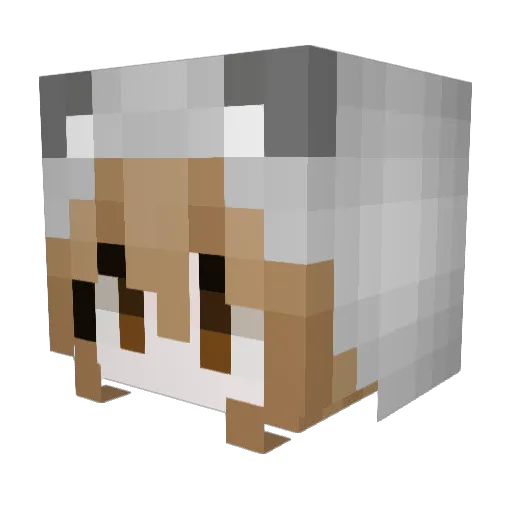Glassysky0 Minecraft avatar head, 3D render