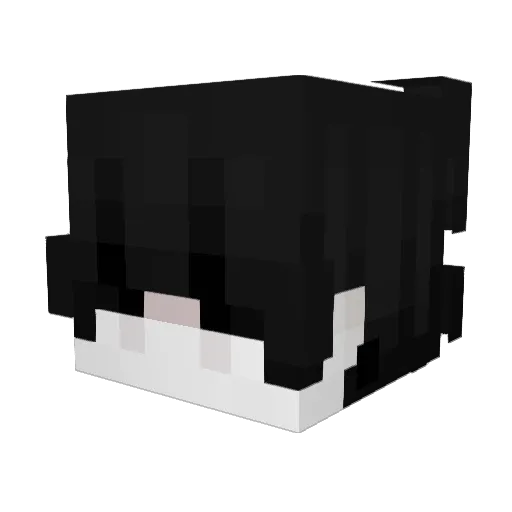 Gleako Minecraft avatar head, 3D render