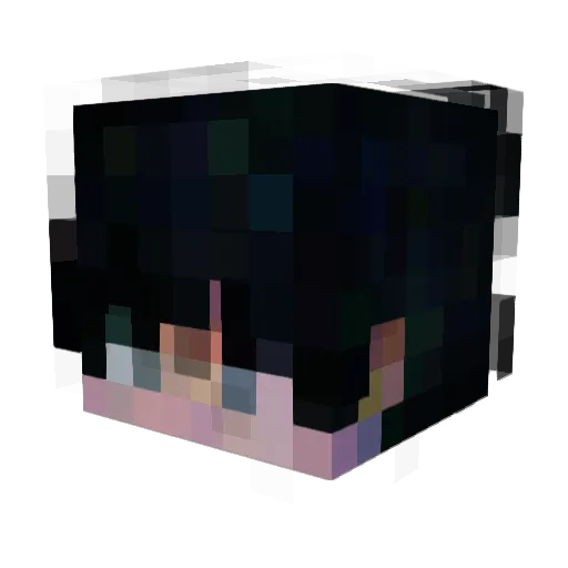 Gled256 Minecraft avatar head, 3D render