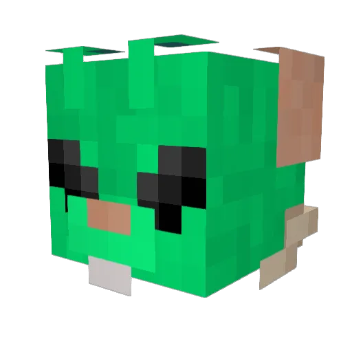 Gleepz Minecraft avatar head, 3D render