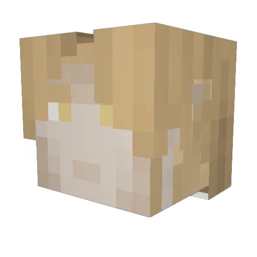 Gleet22 Minecraft avatar head, 3D render