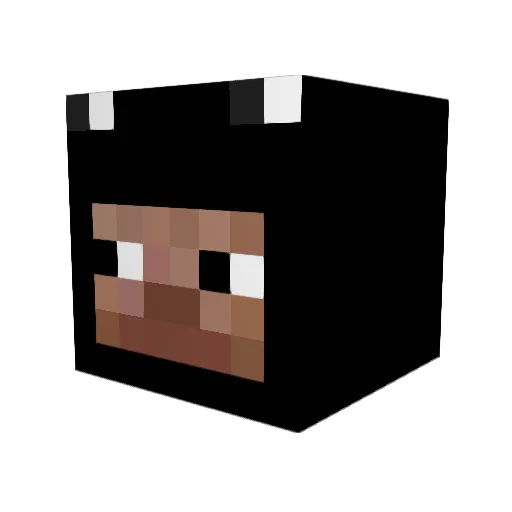 Gleronnifer Minecraft avatar head, 3D render