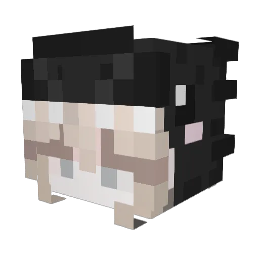 Gleyark Minecraft avatar head, 3D render