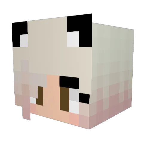 GlimmerWillow Minecraft avatar head, 3D render