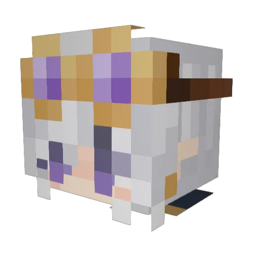 GlitchRobin Minecraft avatar head, 3D render