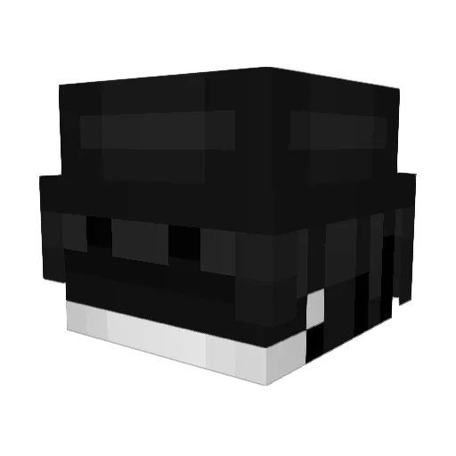 Glitch_FataERROR Minecraft avatar head, 3D render