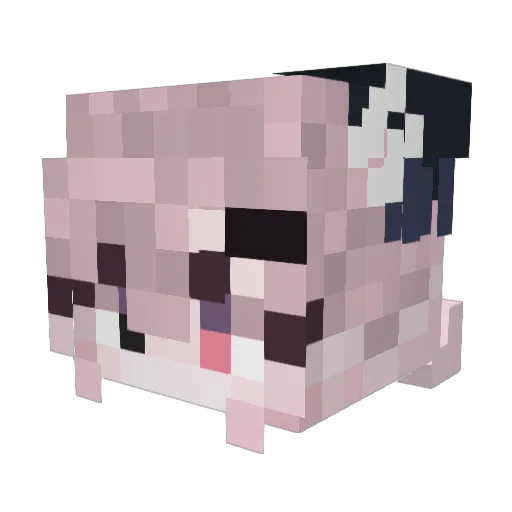 Glitche2137 Minecraft avatar head, 3D render