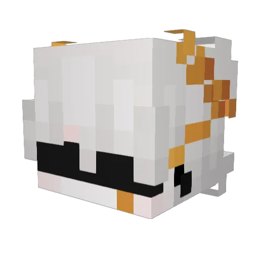 GlitchedRP Minecraft avatar head, 3D render