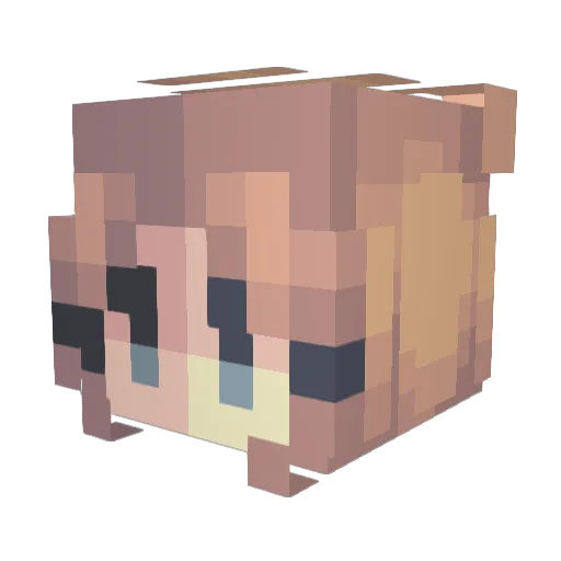 Glitchy66 Minecraft avatar head, 3D render