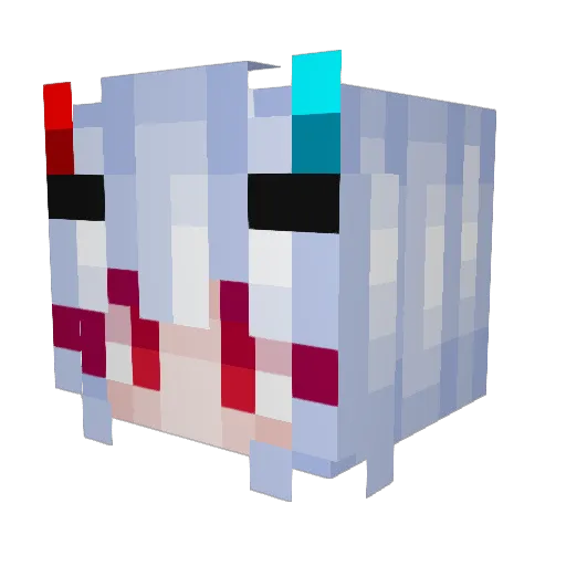 Glitchy_Demon Minecraft avatar head, 3D render