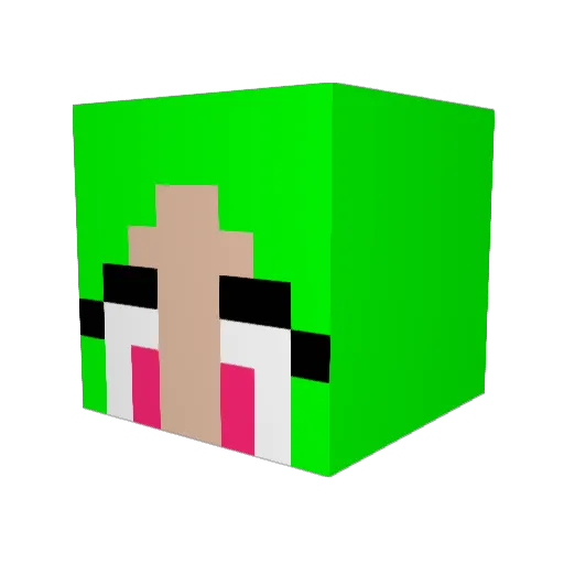 Glittervarken Minecraft avatar head, 3D render