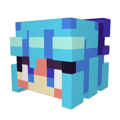GlitzerPit Minecraft avatar head, 3D render