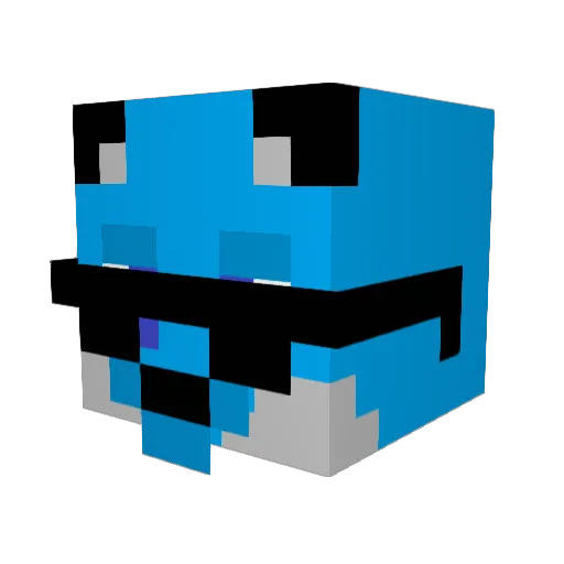 GlitzyKitty8676 Minecraft avatar head, 3D render