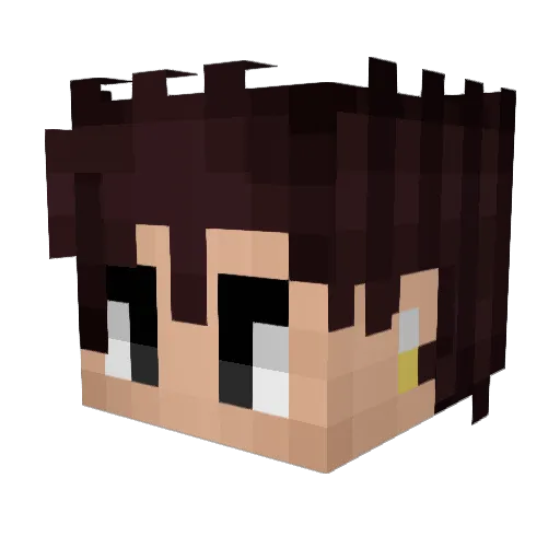 GlizzyBeeter Minecraft avatar head, 3D render