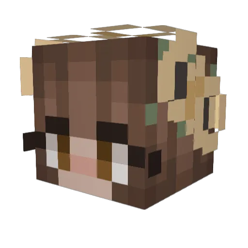 Glizzy_Gobbbler Minecraft avatar head, 3D render