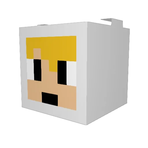 GlobKing1 Minecraft avatar head, 3D render