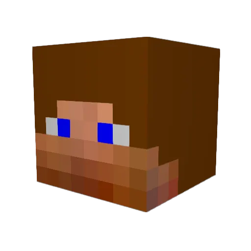 Globin_Ninja Minecraft avatar head, 3D render