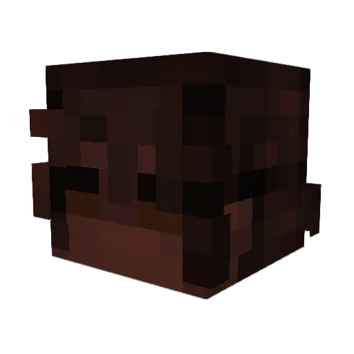 Minecraft-Avatar von GloomTroom: Kopf als 3D-Render