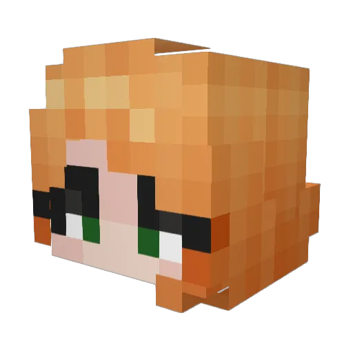 GloomySwamp22 Minecraft avatar head, 3D render
