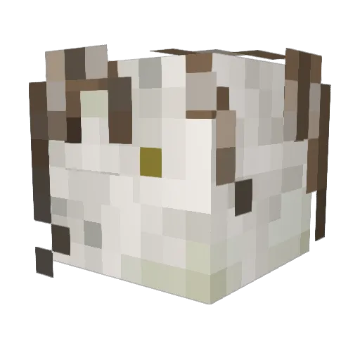 GlorbleGLorsh Minecraft avatar head, 3D render