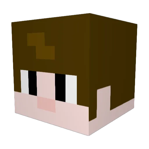 Gloyer Minecraft avatar head, 3D render