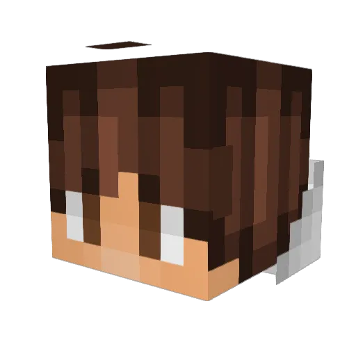 Glugio Minecraft avatar head, 3D render