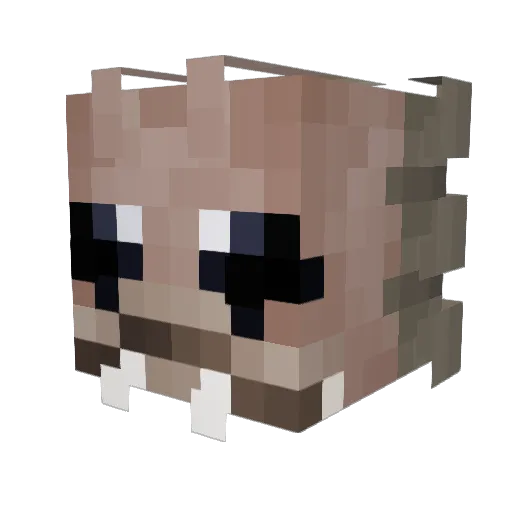 Glyde Minecraft avatar head, 3D render