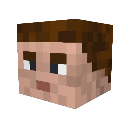 Glyndwr Minecraft avatar head, 3D render