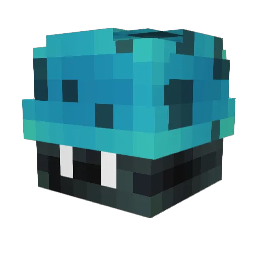 Gnaow Minecraft avatar head, 3D render