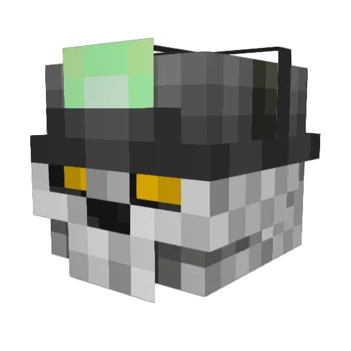GnarlyLeiden Minecraft avatar head, 3D render