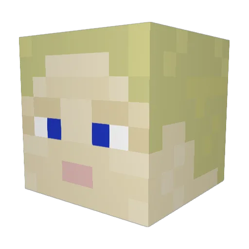 Gnarynhar Minecraft avatar head, 3D render