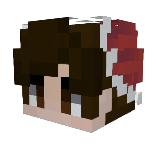 Gnatthebug Minecraft avatar head, 3D render