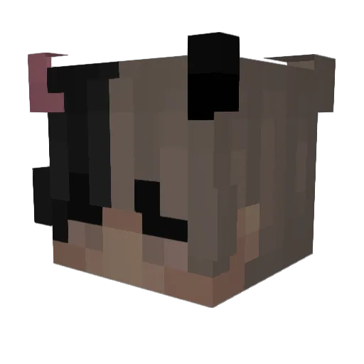 Gnec Minecraft avatar head, 3D render