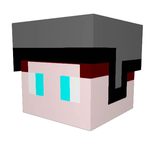 Gniazdko_Elertry Minecraft avatar head, 3D render