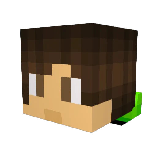 Gniewk0 Minecraft avatar head, 3D render