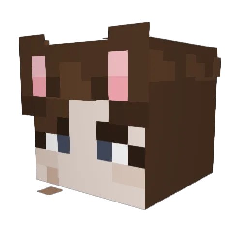 GnocchiSitter Minecraft avatar head, 3D render