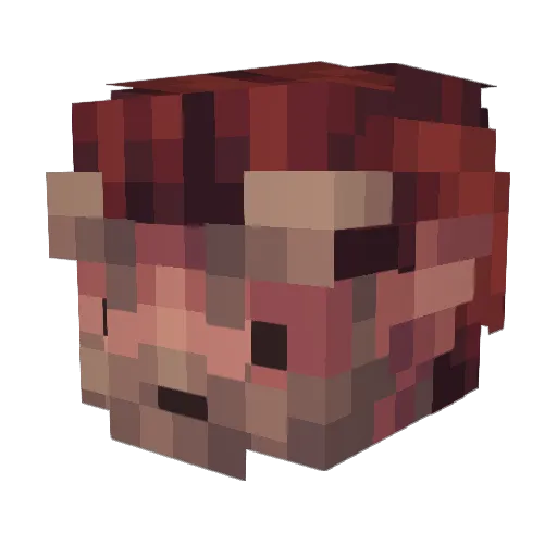 Gnome1_ Minecraft avatar head, 3D render