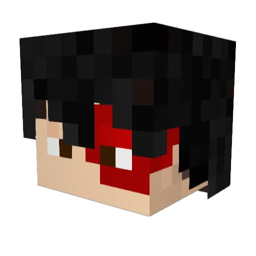 Gnome20 Minecraft avatar head, 3D render